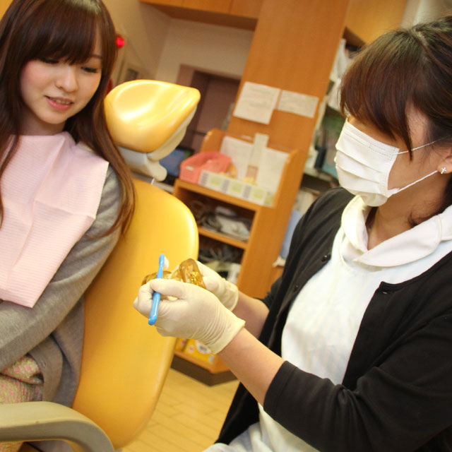 歯科衛生士から歯の模型を使って歯磨きの指導を受ける女性